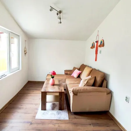 Apartment Halite